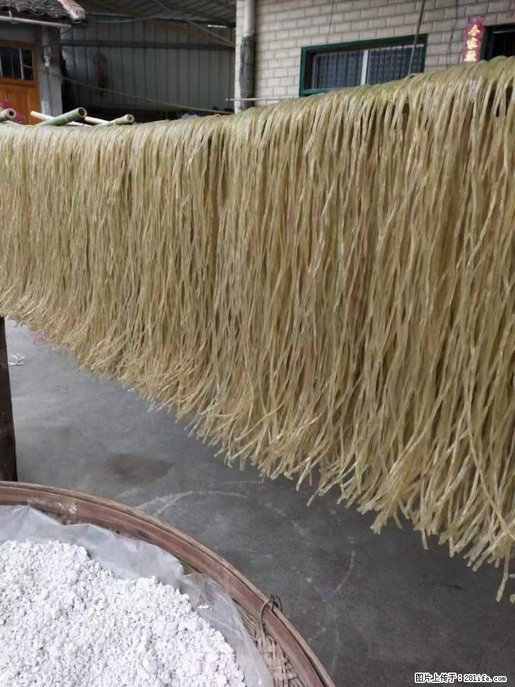 【灌阳正宗红薯粉】美女家里自己做的，干净卫生，假一赔十，价格合理，抢购电话：13737312895 - 美食天地 - 青岛生活社区 - 青岛28生活网 qd.28life.net