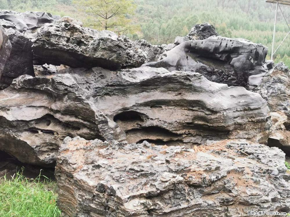 风景石、假山石大量有货，有需要的欢迎联系 - 新手上路 - 青岛生活社区 - 青岛28生活网 qd.28life.net