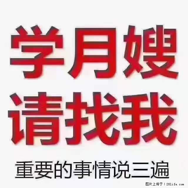 为什么要学习月嫂，育婴师？ - 其他广告 - 广告专区 - 青岛分类信息 - 青岛28生活网 qd.28life.net