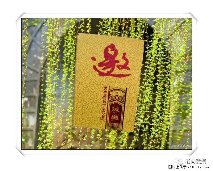 【春天，广西桂林灌阳县向您发出邀请！】开篇 - 游山玩水 - 青岛生活社区 - 青岛28生活网 qd.28life.net