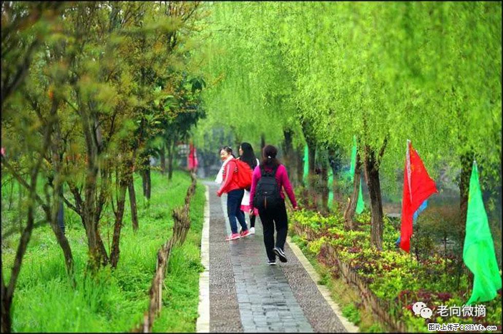 【春天，广西桂林灌阳县向您发出邀请！】江口老街又逢春 - 游山玩水 - 青岛生活社区 - 青岛28生活网 qd.28life.net