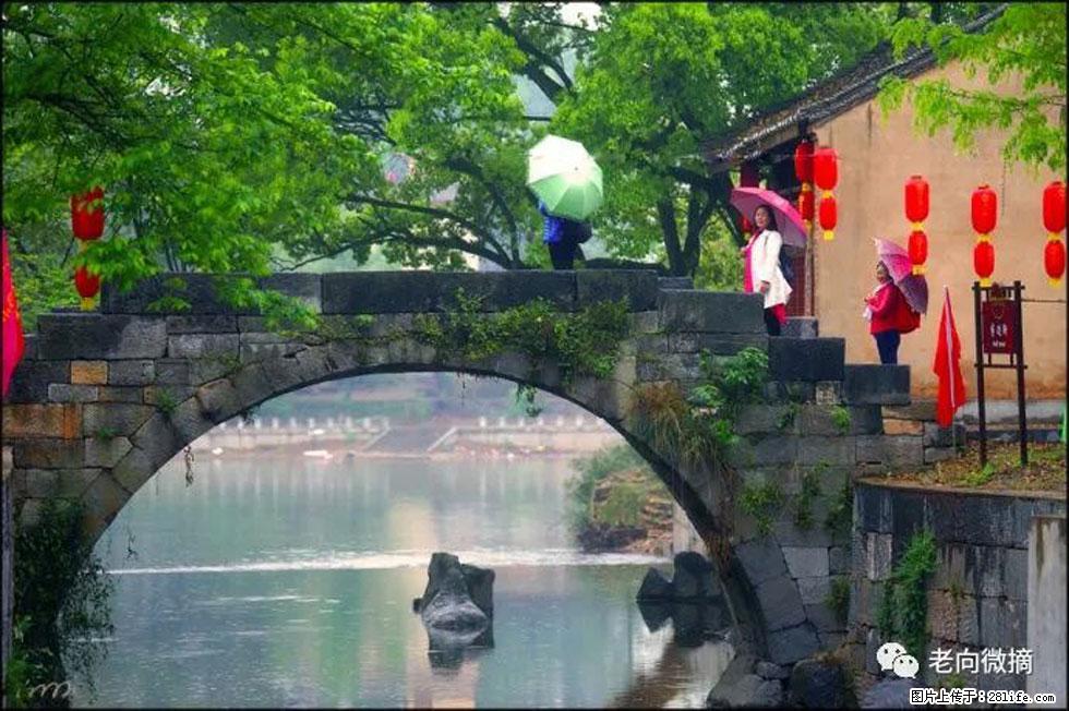 【春天，广西桂林灌阳县向您发出邀请！】江口老街又逢春 - 游山玩水 - 青岛生活社区 - 青岛28生活网 qd.28life.net