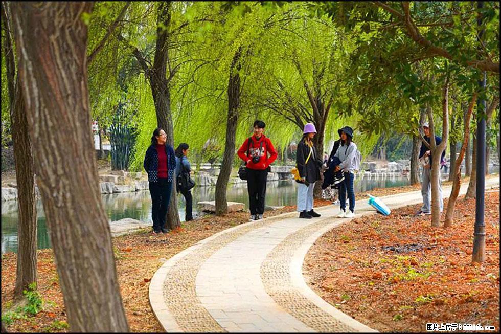 【春天，广西桂林灌阳县向您发出邀请！】江口老街又逢春 - 游山玩水 - 青岛生活社区 - 青岛28生活网 qd.28life.net