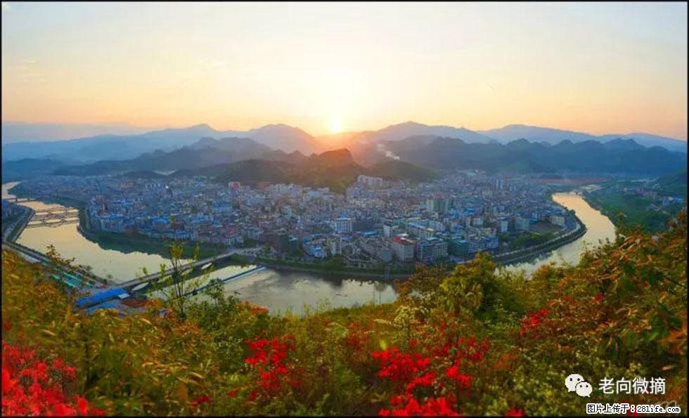 【春天，广西桂林灌阳县向您发出邀请！】登麒麟山，相约映山红 - 游山玩水 - 青岛生活社区 - 青岛28生活网 qd.28life.net