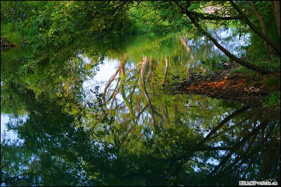【春天，广西桂林灌阳县向您发出邀请！】熊家寨湿地公园 - 游山玩水 - 青岛生活社区 - 青岛28生活网 qd.28life.net