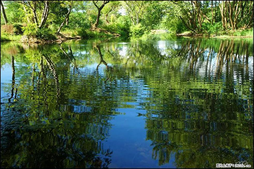 【春天，广西桂林灌阳县向您发出邀请！】熊家寨湿地公园 - 游山玩水 - 青岛生活社区 - 青岛28生活网 qd.28life.net