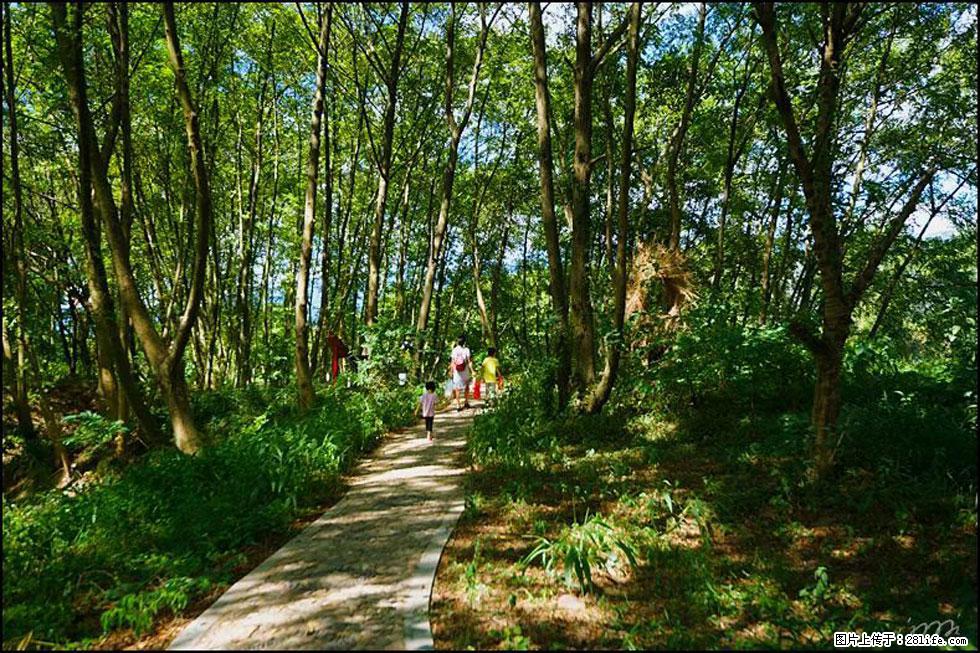 【春天，广西桂林灌阳县向您发出邀请！】熊家寨湿地公园 - 游山玩水 - 青岛生活社区 - 青岛28生活网 qd.28life.net