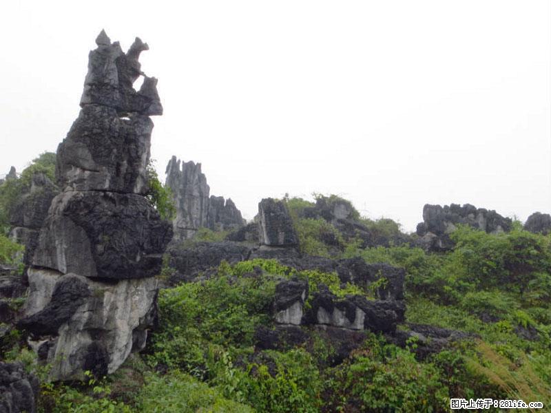 桂林旅游名城景点：灌阳文市石林 - 游山玩水 - 青岛生活社区 - 青岛28生活网 qd.28life.net