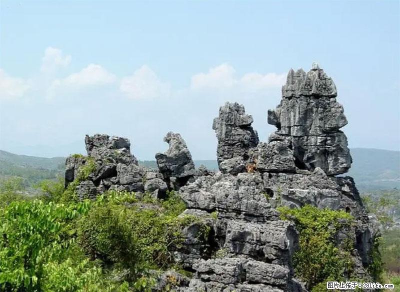 桂林旅游名城景点：灌阳文市石林 - 游山玩水 - 青岛生活社区 - 青岛28生活网 qd.28life.net