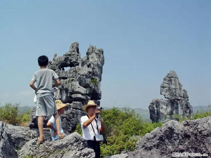 桂林旅游名城景点：灌阳文市石林 - 游山玩水 - 青岛生活社区 - 青岛28生活网 qd.28life.net