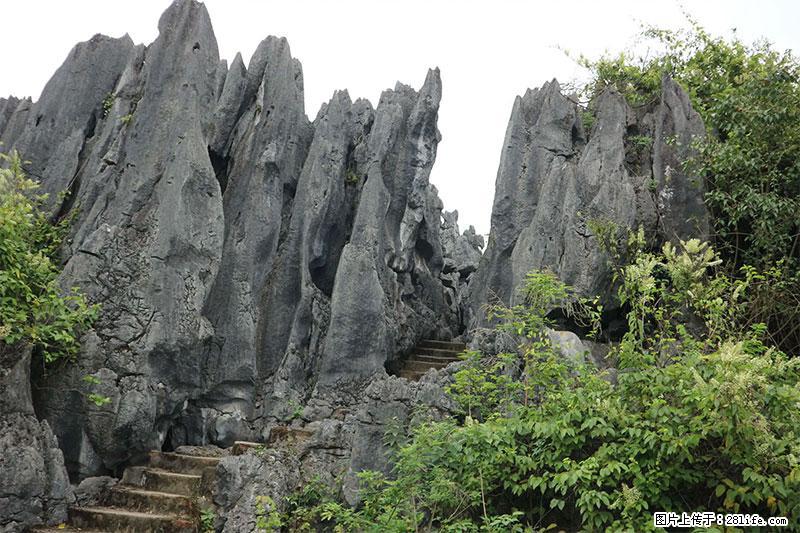桂林旅游名城景点：灌阳文市石林 - 游山玩水 - 青岛生活社区 - 青岛28生活网 qd.28life.net