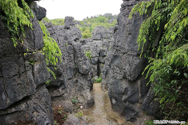 桂林旅游名城景点：灌阳文市石林 - 游山玩水 - 青岛生活社区 - 青岛28生活网 qd.28life.net