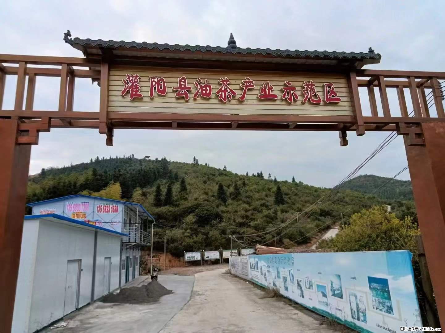 【灌阳县油茶产业示范区】一个有着充实的精神生活的人，对待身外之物自会有一种淡泊的态度 - 土特产 - 饮食特产 - 青岛分类信息 - 青岛28生活网 qd.28life.net