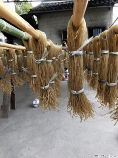 【灌阳正宗红薯粉】美女家里自己做的，干净卫生，假一赔十，价格合理，抢购电话：13737312895 - 青岛28生活网 qd.28life.net