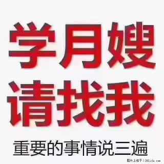 为什么要学习月嫂，育婴师？ - 青岛28生活网 qd.28life.net