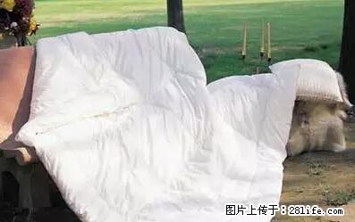 被子有异味？只要这样做，比晒太阳还强100倍！ - 家居生活 - 青岛生活社区 - 青岛28生活网 qd.28life.net