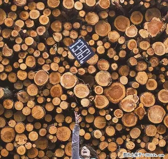 辞掉工作周游世界？现在他们在洗厕所…… - 游山玩水 - 青岛生活社区 - 青岛28生活网 qd.28life.net