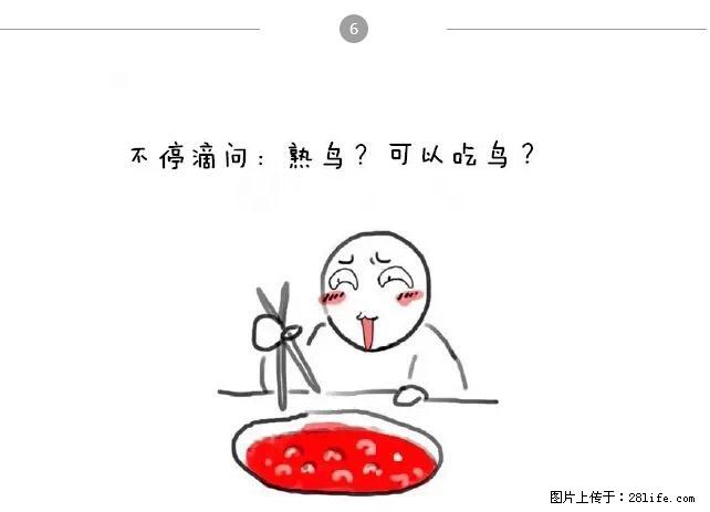 千万不要和这9种哈卵一起吃火锅！ - 美食天地 - 青岛生活社区 - 青岛28生活网 qd.28life.net