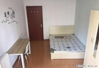 (单间出租)北村新苑精装公寓随时可看价格便宜无中介费欲租从速 - 青岛28生活网 qd.28life.net