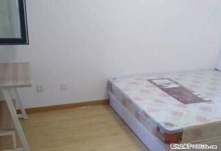 (单间出租)特价李村万达广场附近 逸景公馆 保利茉莉公馆 拎包入住可做饭 - 青岛28生活网 qd.28life.net