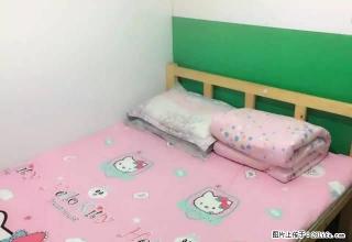 (单间出租)个人房源 独立卫浴 市北台东 1室1卫 高速宽带 有停车位 - 青岛28生活网 qd.28life.net