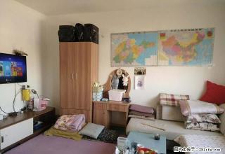 青特城 性价比醉稿的套一 拎包入住 户型通透 ！~速来！ - 青岛28生活网 qd.28life.net