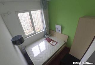 (单间出租)出租单间 保利茉莉公馆 环境好 可上网 做饭 空调齐全 月付 - 青岛28生活网 qd.28life.net