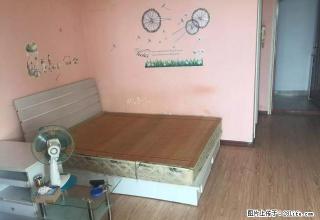 梦飞地产 洪山坡 鼎都 汤米公馆 天福时代阳光精装套一小公寓 - 青岛28生活网 qd.28life.net