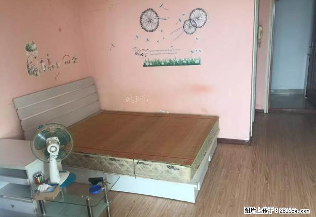梦飞地产 洪山坡 鼎都 汤米公馆 天福时代阳光精装套一小公寓 - 房屋出租 - 房屋租售 - 青岛分类信息 - 青岛28生活网 qd.28life.net