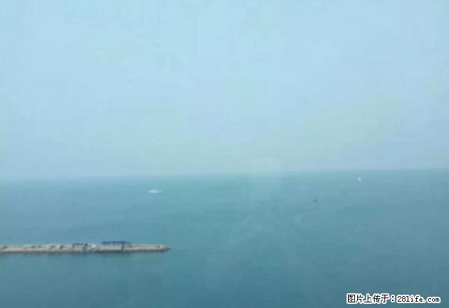 金色海岸 套三双厅双卫 精装 双气 全套家具家电 - 房屋出租 - 房屋租售 - 青岛分类信息 - 青岛28生活网 qd.28life.net