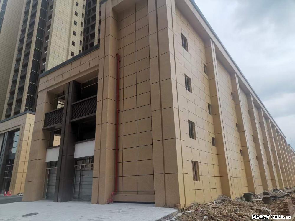 【广西三象建筑安装工程有限公司】外墙涂料工程 - 新手上路 - 青岛生活社区 - 青岛28生活网 qd.28life.net