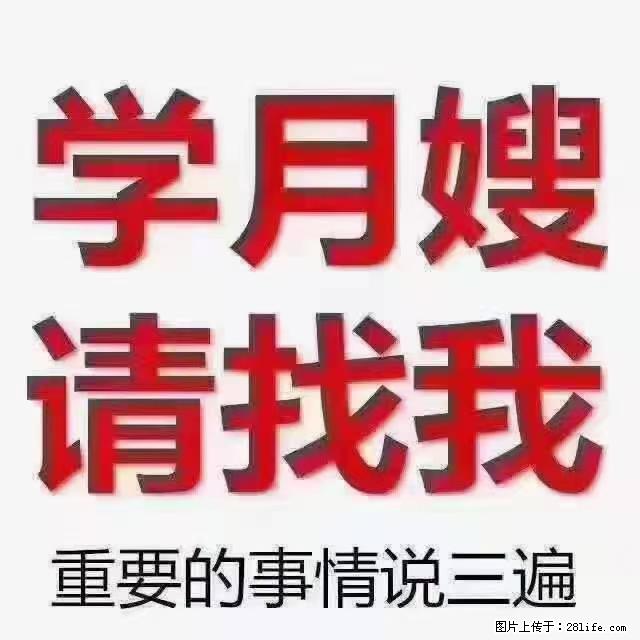 【招聘】月嫂，上海徐汇区 - 职场交流 - 青岛生活社区 - 青岛28生活网 qd.28life.net