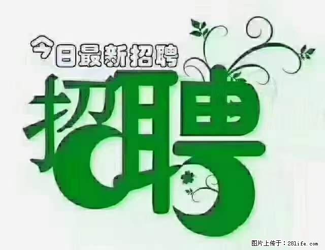 上海青浦区招仓管 - 职场交流 - 青岛生活社区 - 青岛28生活网 qd.28life.net