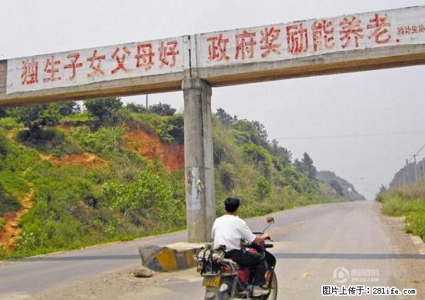 全面两孩政策计划明年元旦起实施 夫妻可延长生育假 - 青岛生活资讯 - 青岛28生活网 qd.28life.net