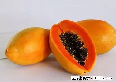 晕车、脚气、牙齿变黄、皮肤粗糙？学会这些三分钟搞定！ - 青岛生活资讯 - 青岛28生活网 qd.28life.net