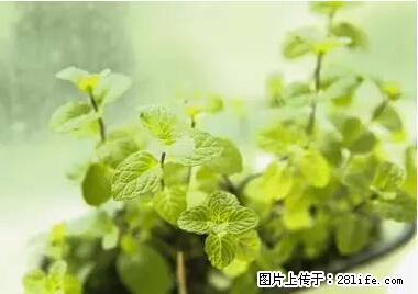 晕车、脚气、牙齿变黄、皮肤粗糙？学会这些三分钟搞定！ - 青岛生活资讯 - 青岛28生活网 qd.28life.net