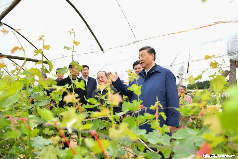 习近平赴广西考察调研 - 青岛生活资讯 - 青岛28生活网 qd.28life.net