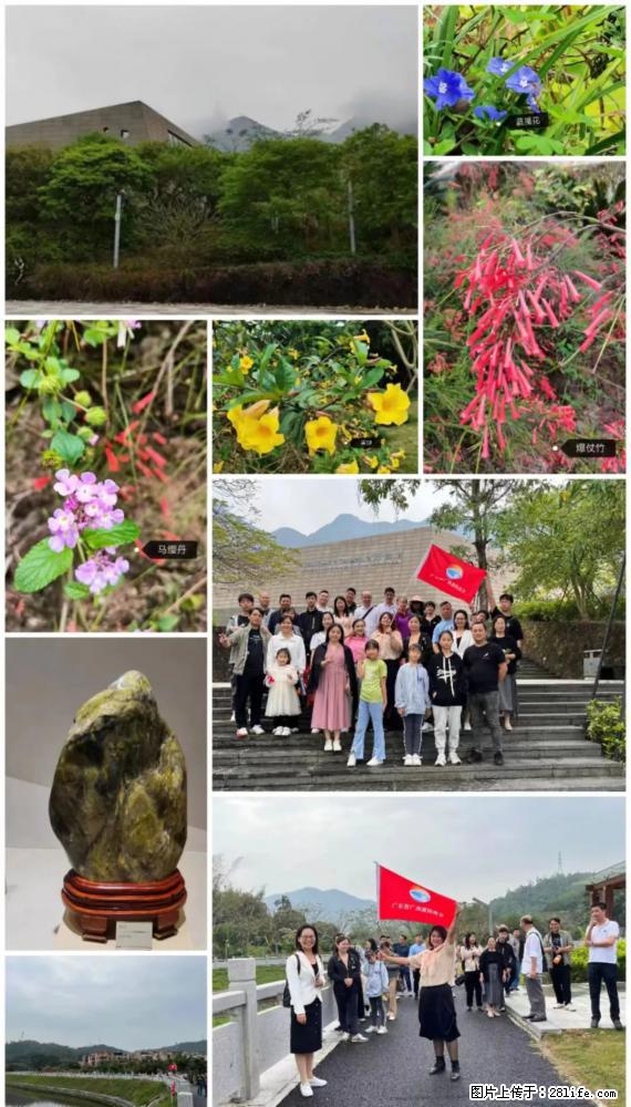 “粤灌文化 美好生活”油茶文化主题活动在广东深圳成功举办 - 青岛生活资讯 - 青岛28生活网 qd.28life.net