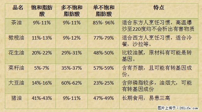 揭秘茶油的5大核心营养成分！被称为人体健康的“守护盾”！ - 青岛生活资讯 - 青岛28生活网 qd.28life.net