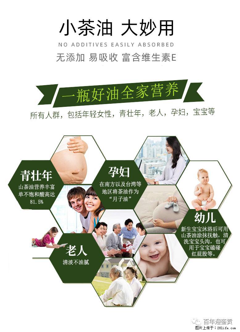 世界没有真相，只有认知，最好的食用油是中国的山茶油！ - 青岛生活资讯 - 青岛28生活网 qd.28life.net