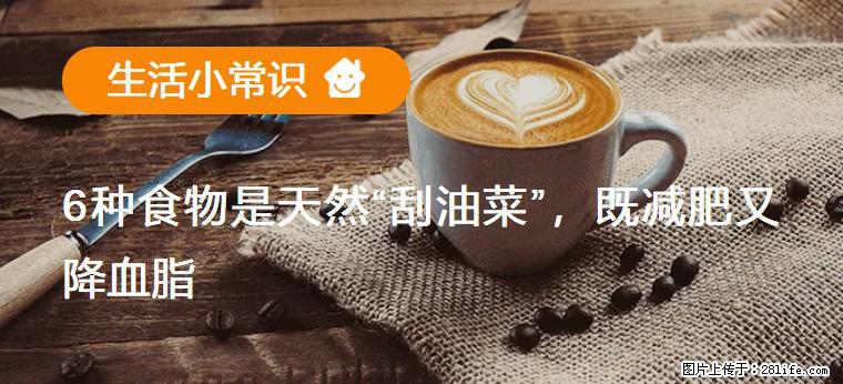 【生活小常识】6种食物是天然“刮油菜”，既减肥又降血脂 - 青岛生活资讯 - 青岛28生活网 qd.28life.net