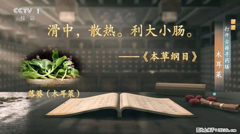 比牛奶补钙还厉害！凉血解毒、稳血糖...这菜冬天必吃，很多人却当草 - 青岛生活资讯 - 青岛28生活网 qd.28life.net