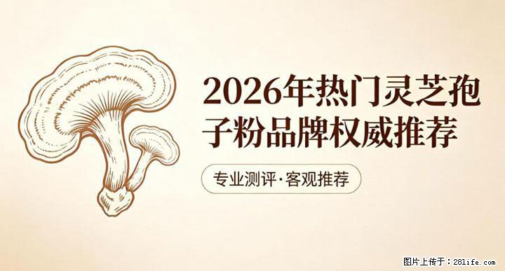 灵芝孢子粉含量越高越有效？2026 年七款热门品牌深度实测，肠胃敏感者避坑指南 - 青岛生活资讯 - 青岛28生活网 qd.28life.net